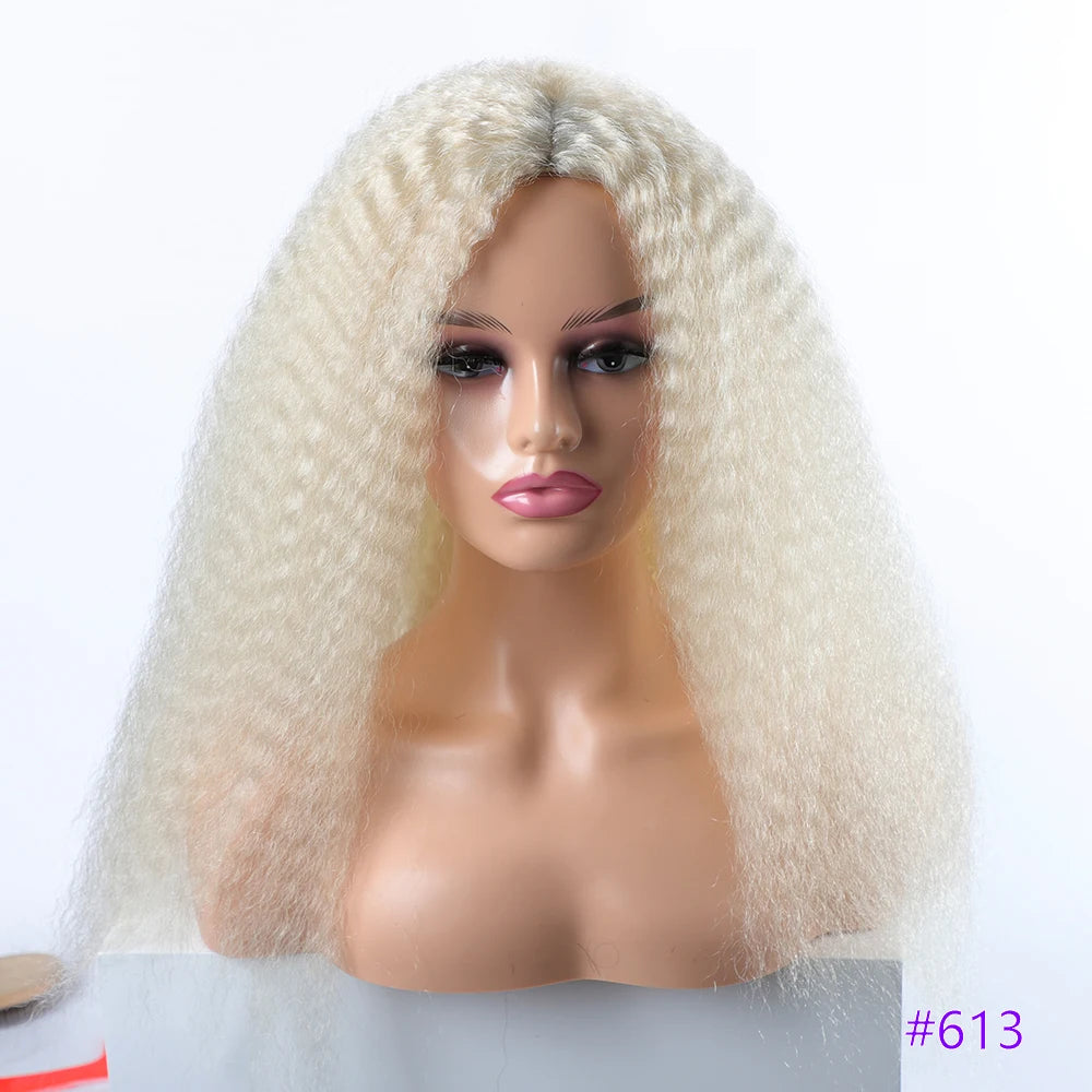 Long Kinky Hair Wigs