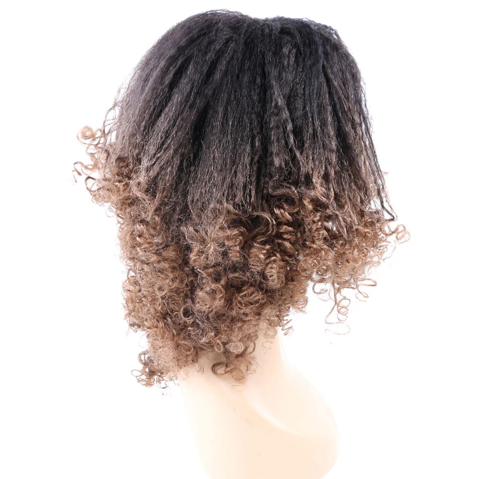 Ombre Synthetic Wig