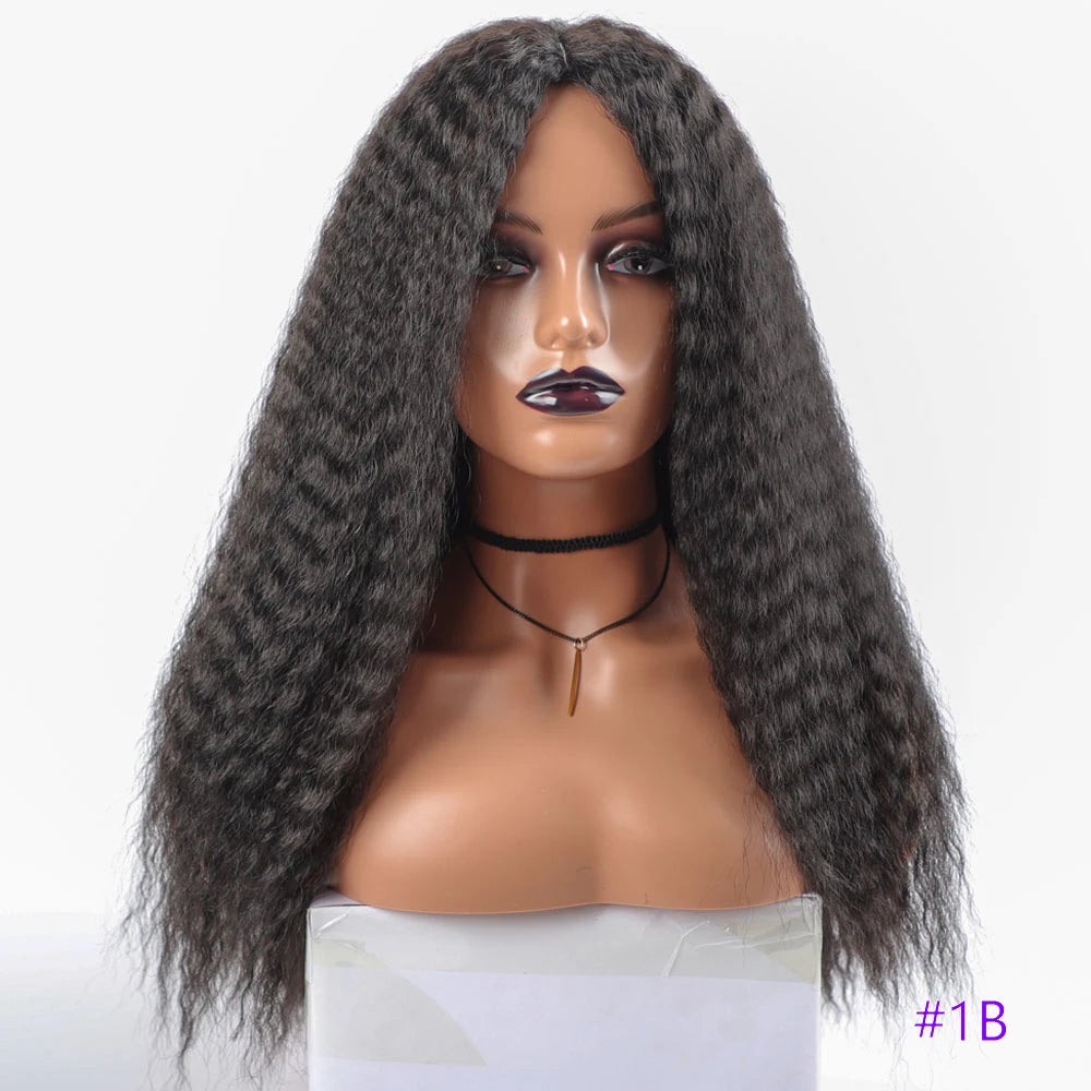 Long Kinky Hair Wigs