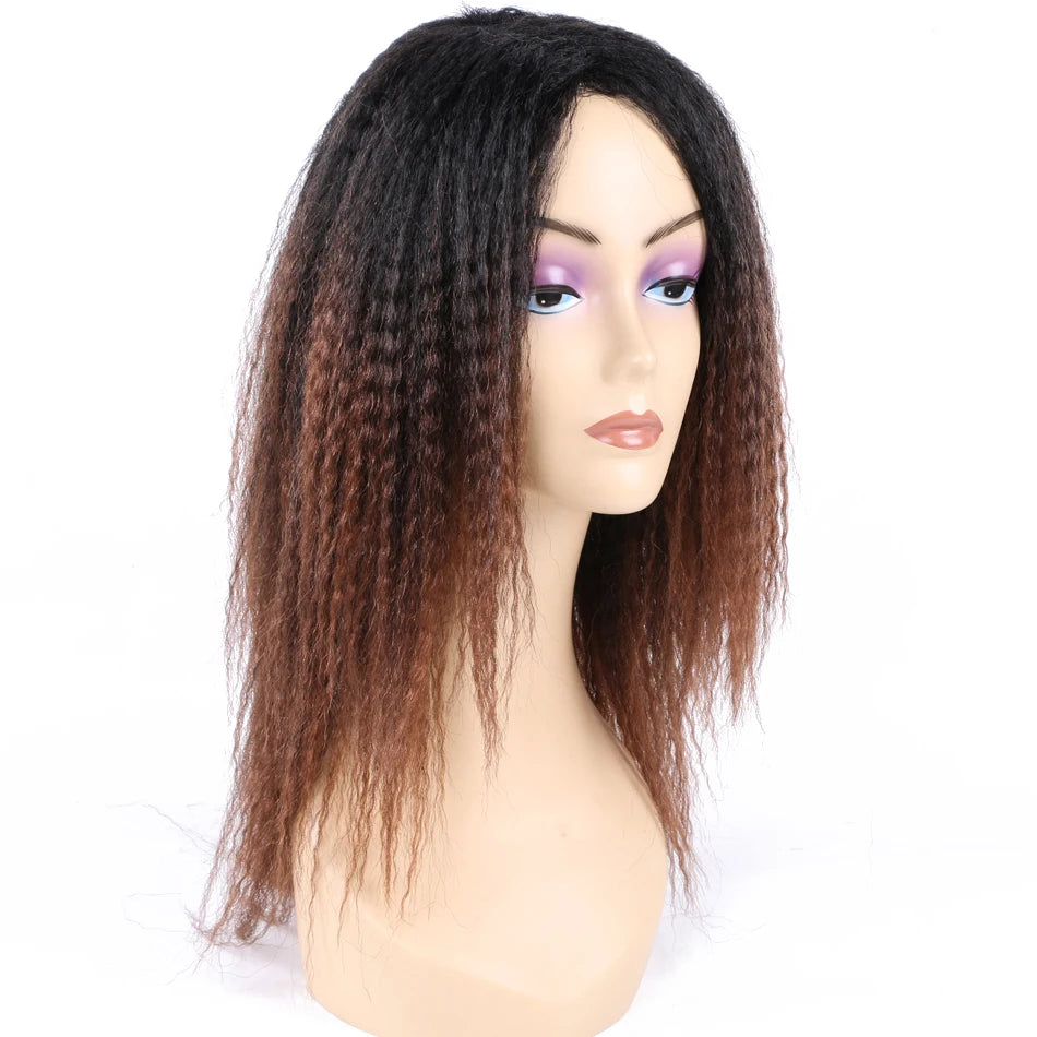 Ombre Synthetic Wig