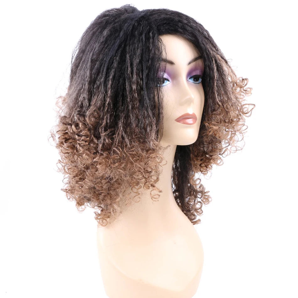 Ombre Synthetic Wig