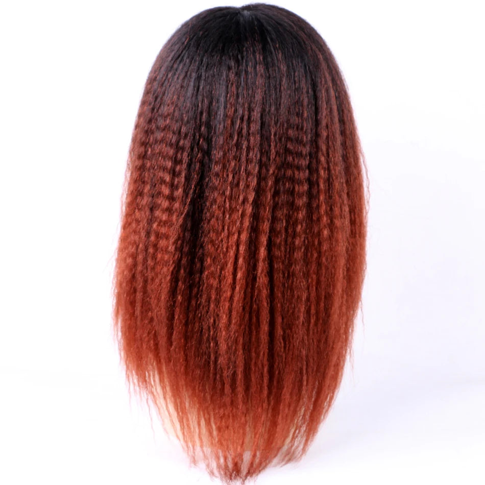 Ombre Synthetic Wig