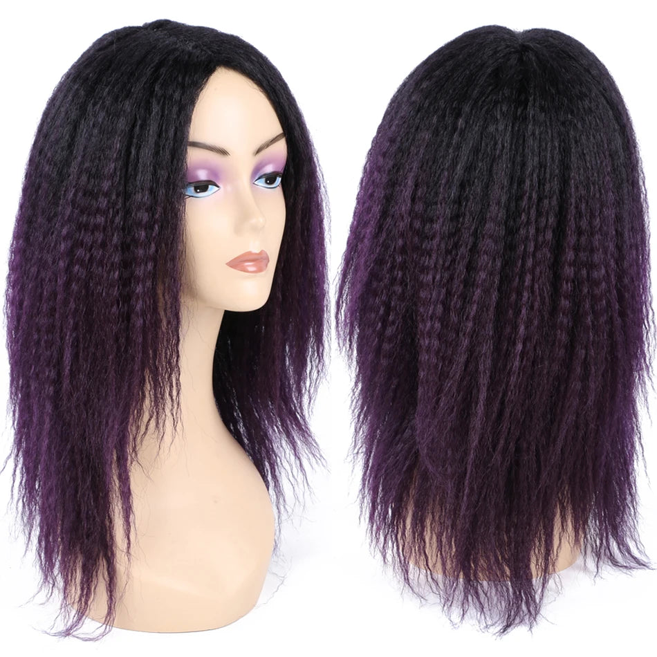 Ombre Synthetic Wig