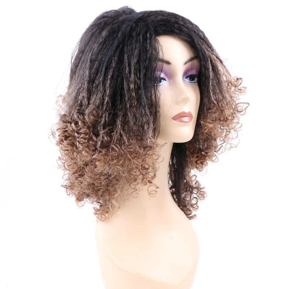 Ombre Synthetic Wig
