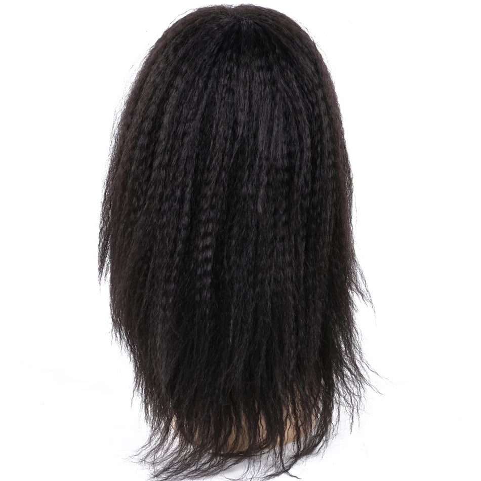 Ombre Synthetic Wig