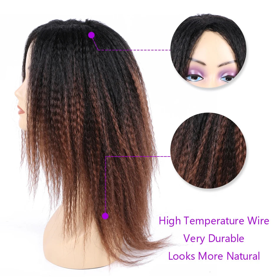 Ombre Synthetic Wig
