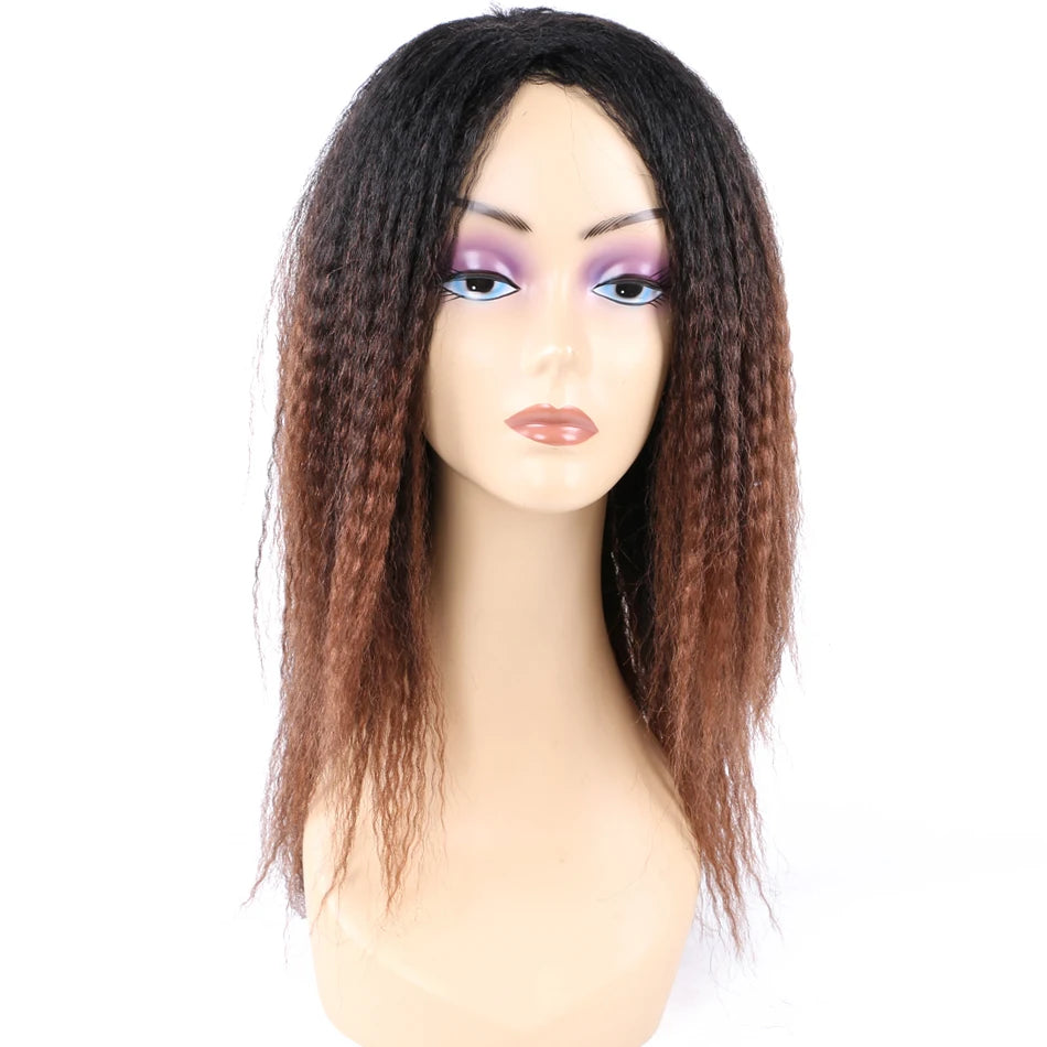 Ombre Synthetic Wig