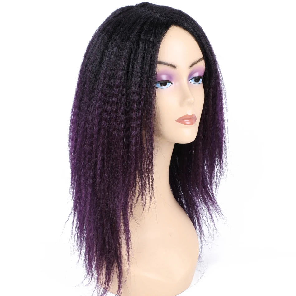Ombre Synthetic Wig