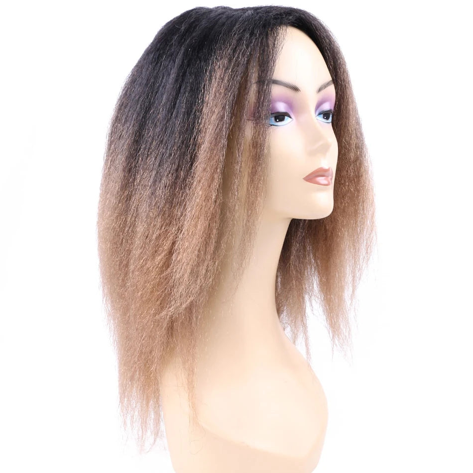Ombre Synthetic Wig