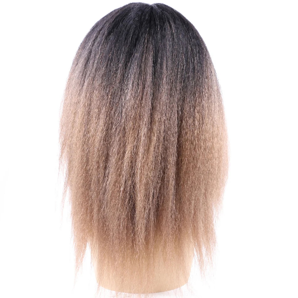 Ombre Synthetic Wig