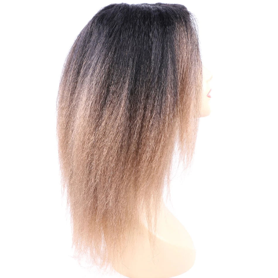 Ombre Synthetic Wig