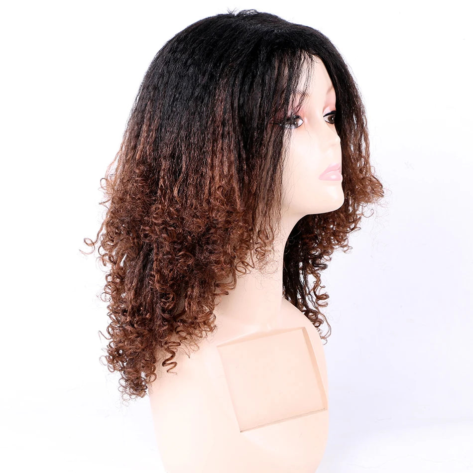 Ombre Synthetic Wig