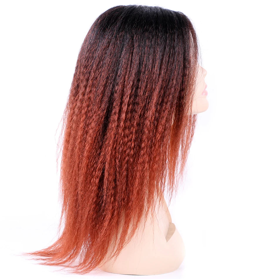 Ombre Synthetic Wig