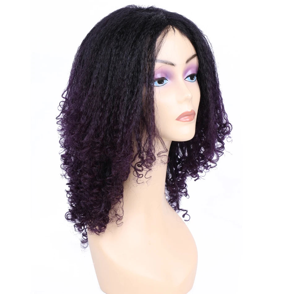 Ombre Synthetic Wig