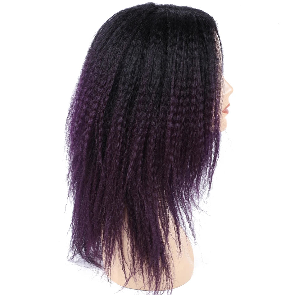 Ombre Synthetic Wig