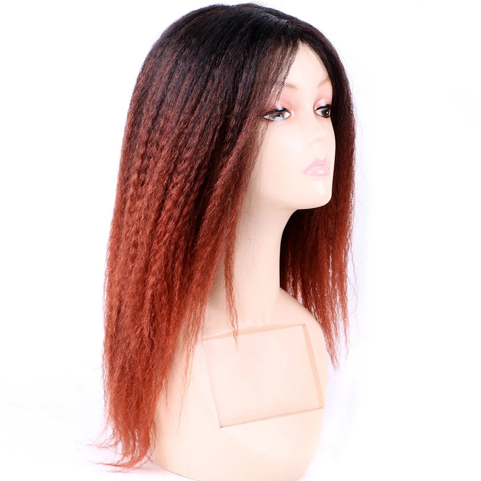 Ombre Synthetic Wig