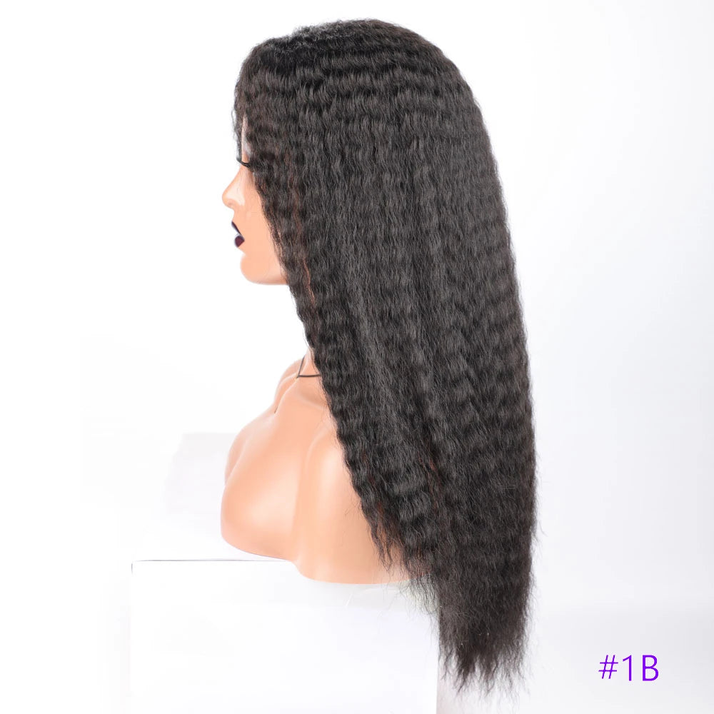 Long Kinky Hair Wigs