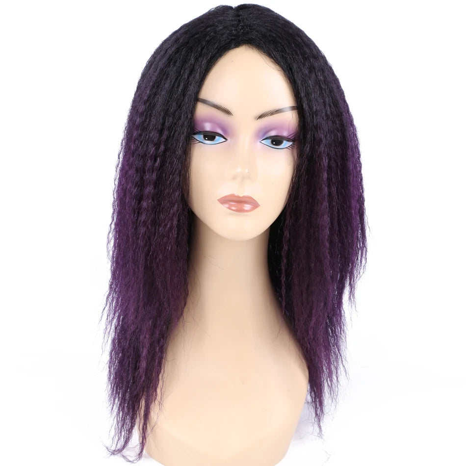 Ombre Synthetic Wig