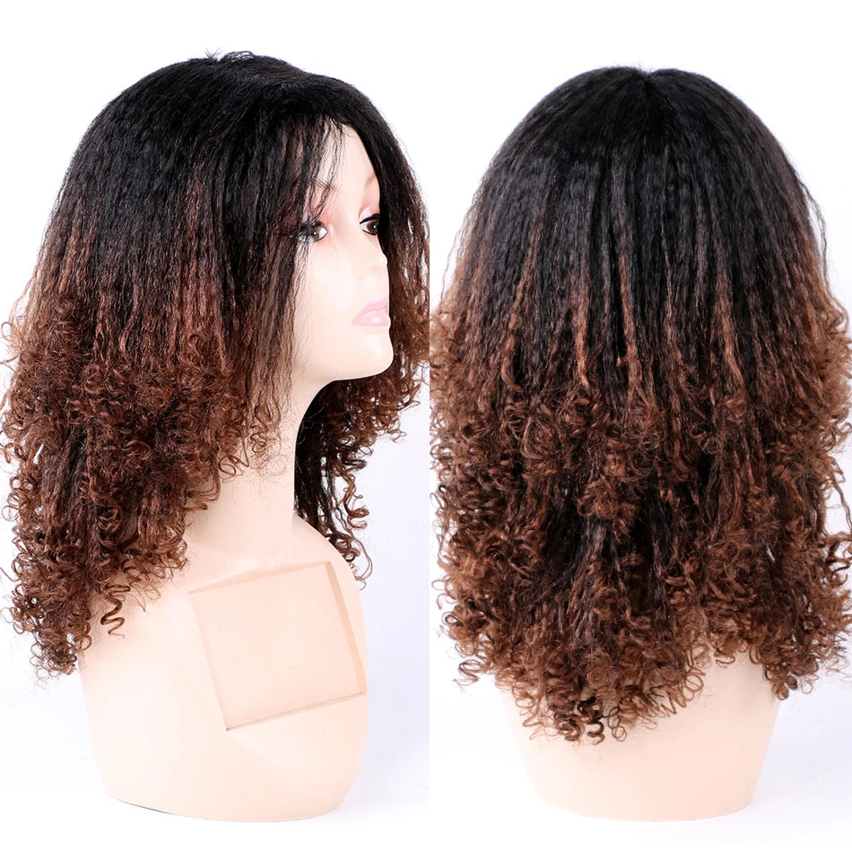 Ombre Synthetic Wig