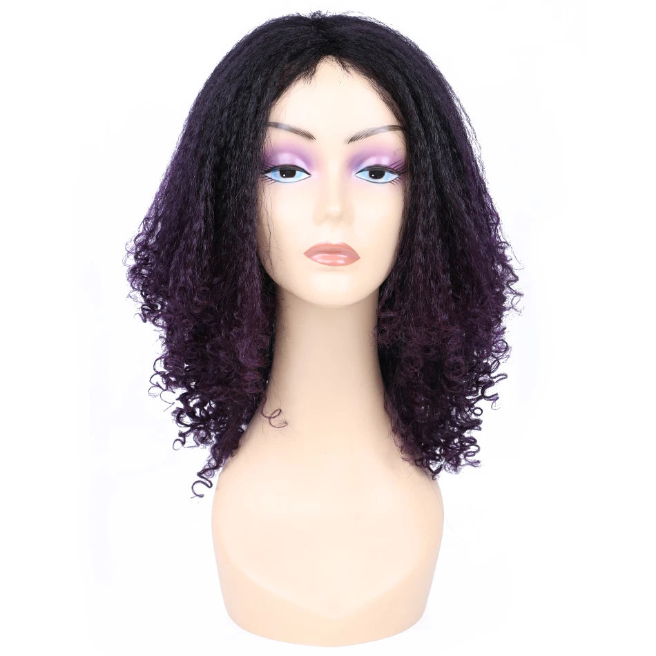 Ombre Synthetic Wig