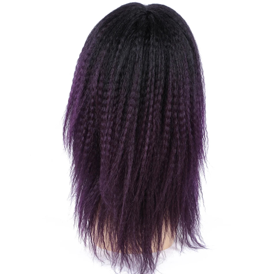 Ombre Synthetic Wig