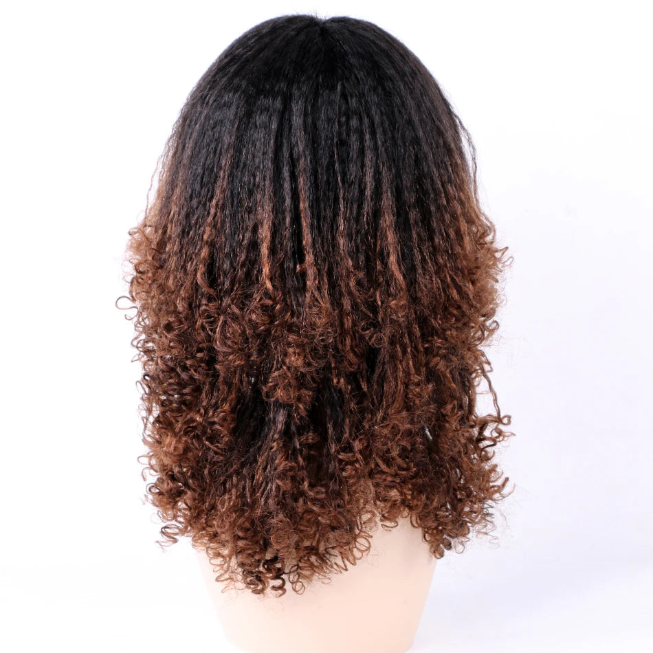 Ombre Synthetic Wig