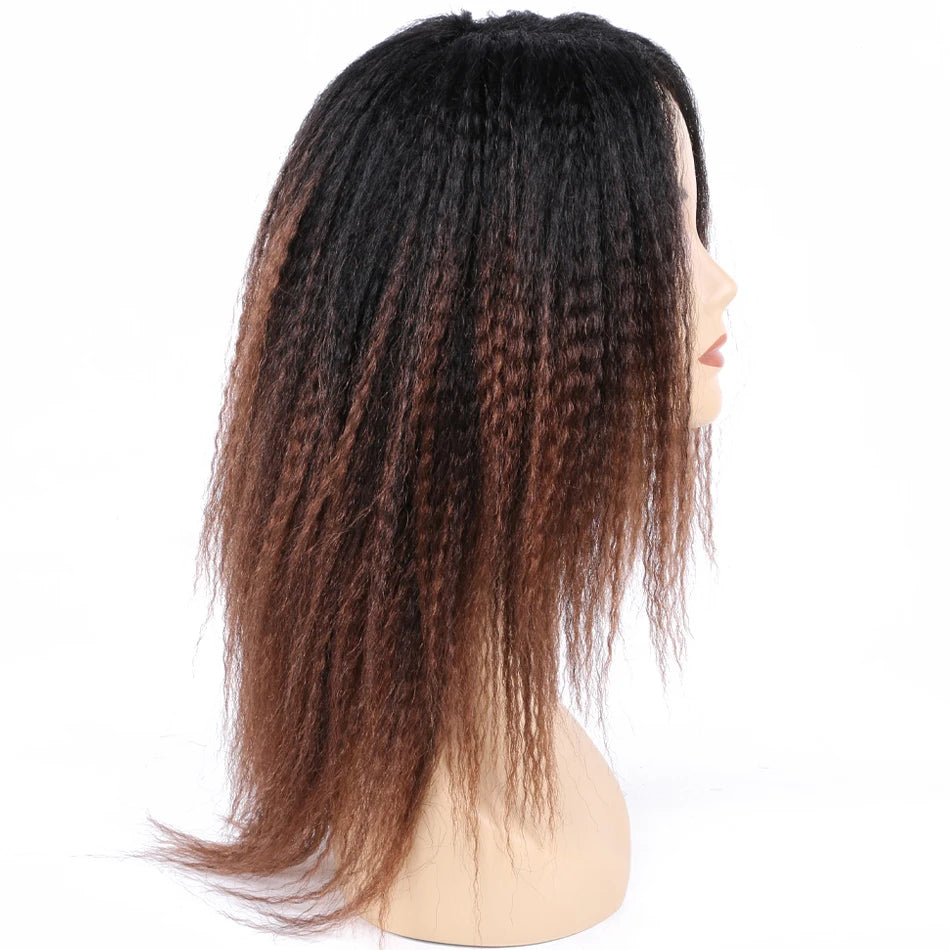 Ombre Synthetic Wig
