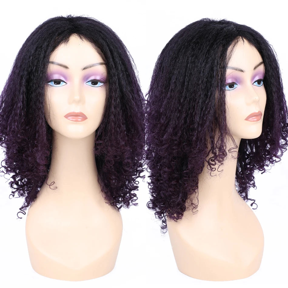 Ombre Synthetic Wig