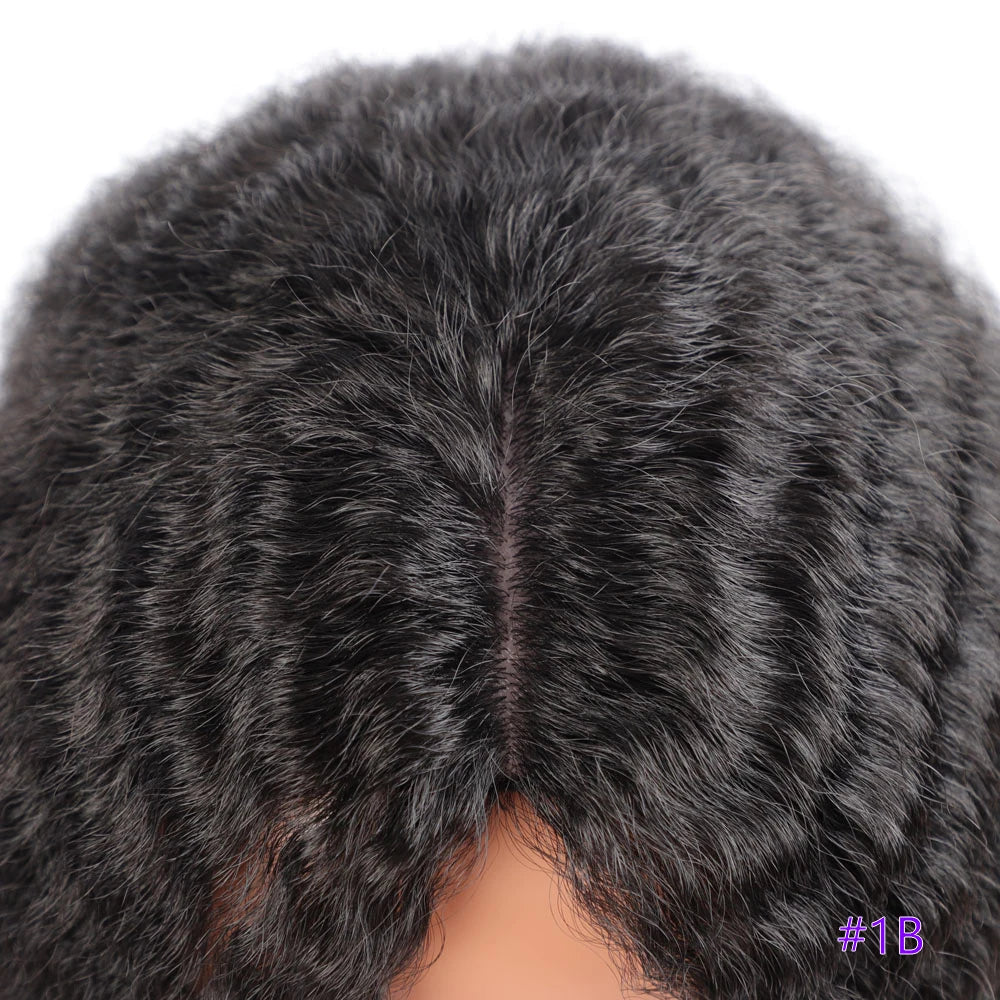 Long Kinky Hair Wigs