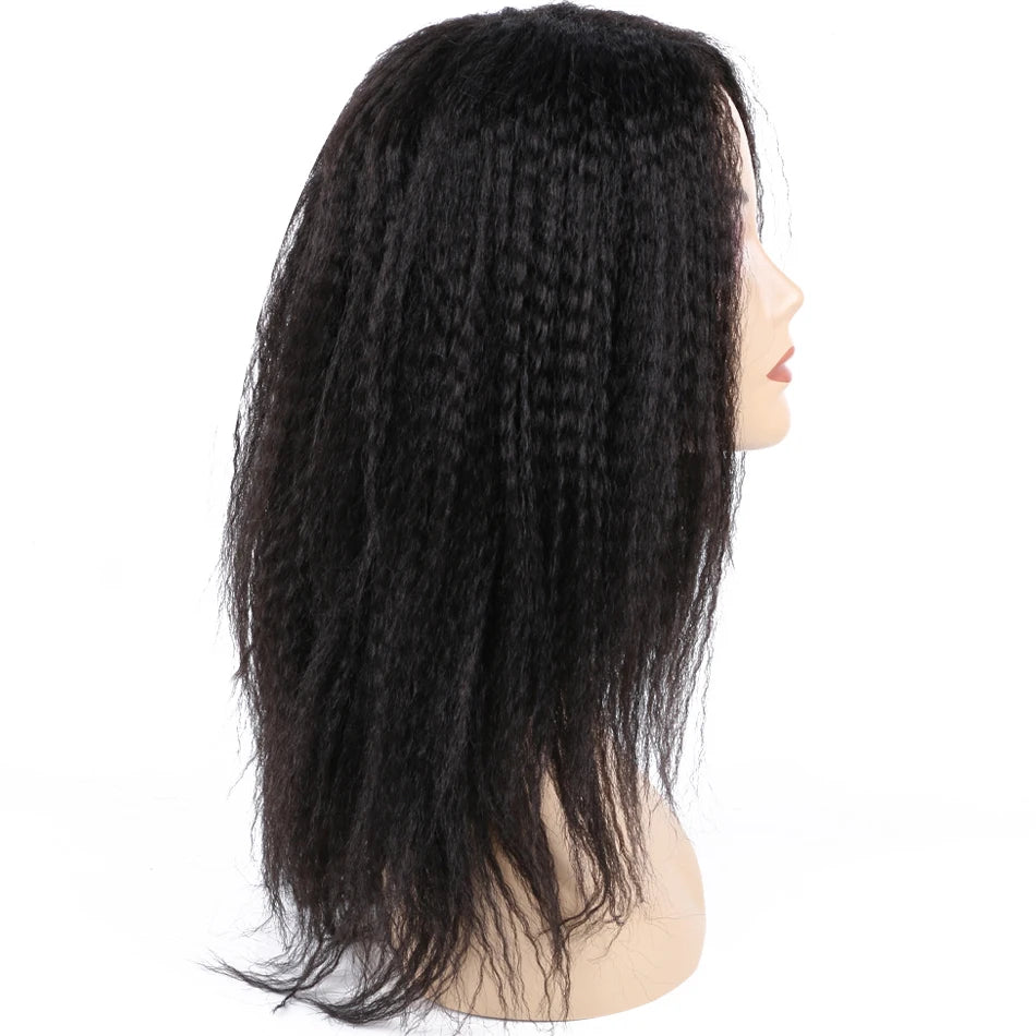 Ombre Synthetic Wig