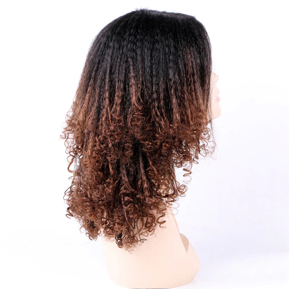 Ombre Synthetic Wig