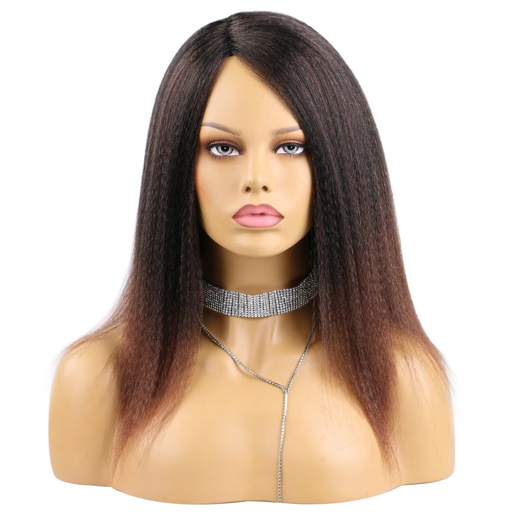 Ombre Synthetic Wig