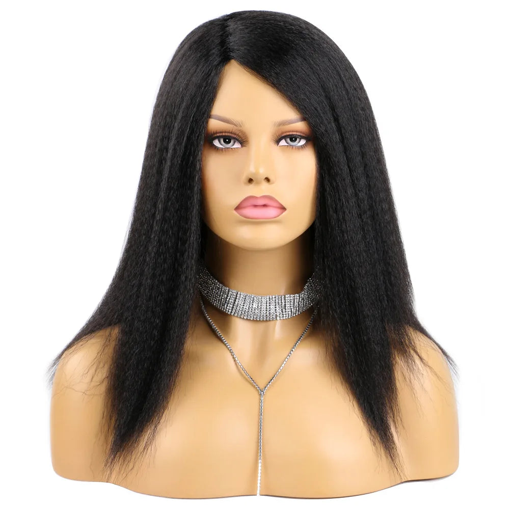 Ombre Synthetic Wig