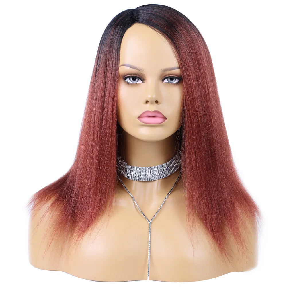 Ombre Synthetic Wig