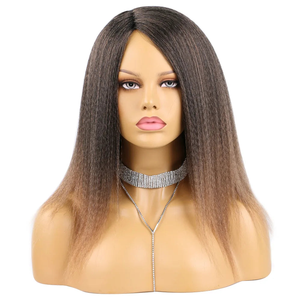 Ombre Synthetic Wig
