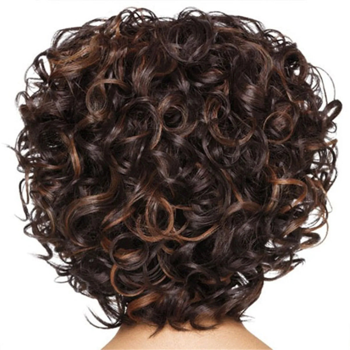 Short Curly Human Hair Wig