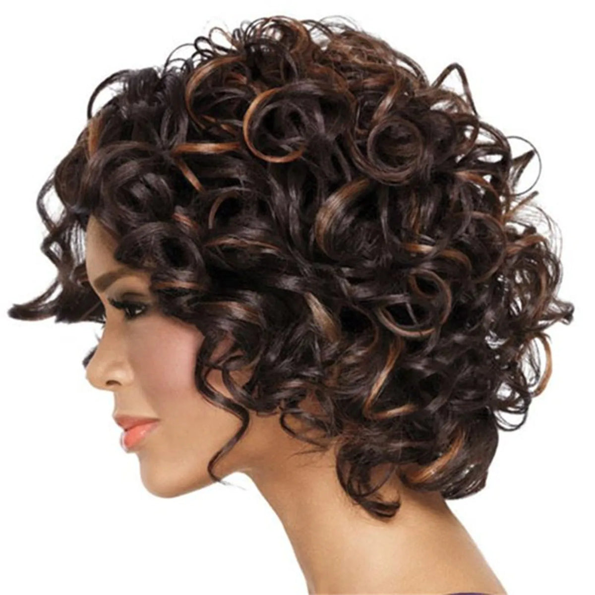 Short Curly Human Hair Wig