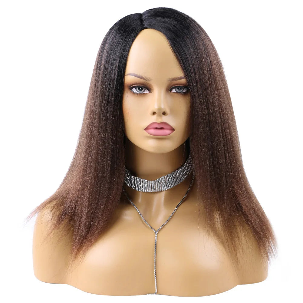 Ombre Synthetic Wig