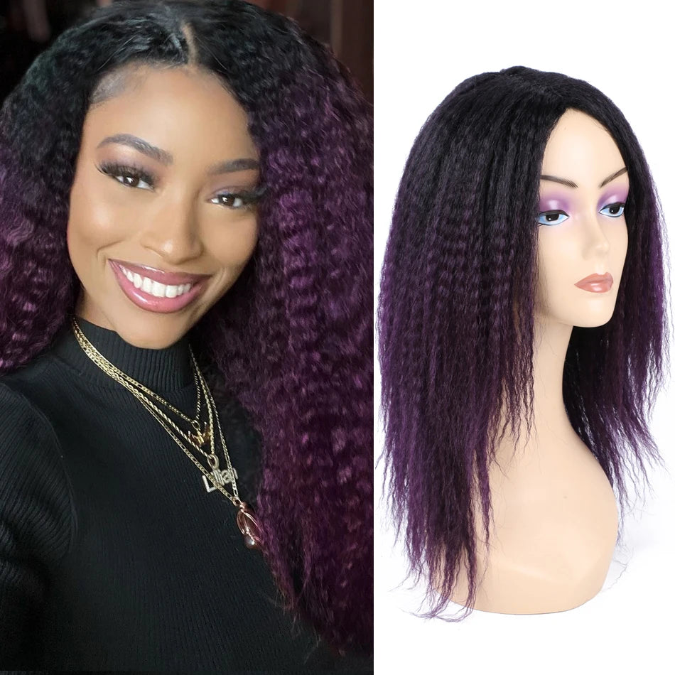 Ombre Synthetic Wig