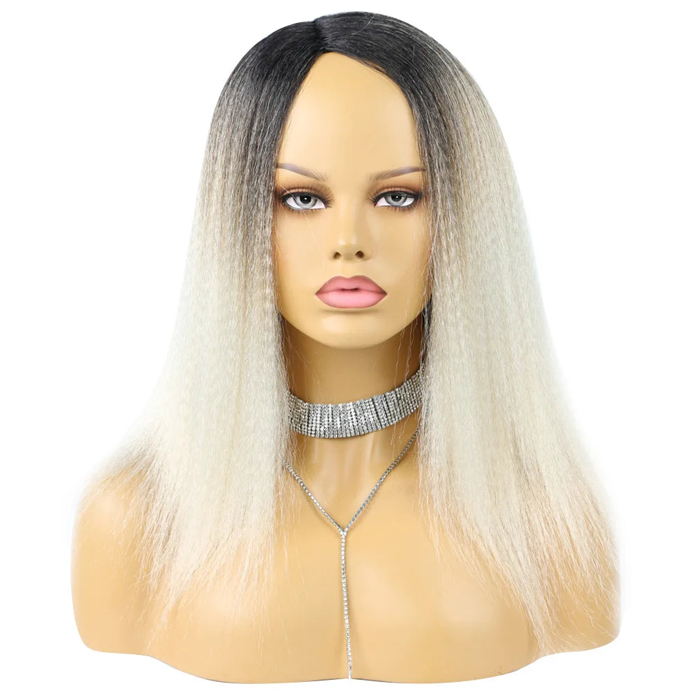 Ombre Synthetic Wig