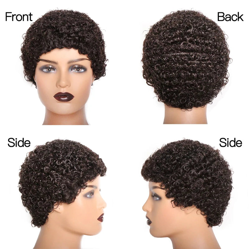 Kinky Curly Human Hair Wigs