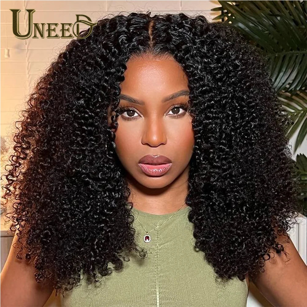 Kinky Curly Wig