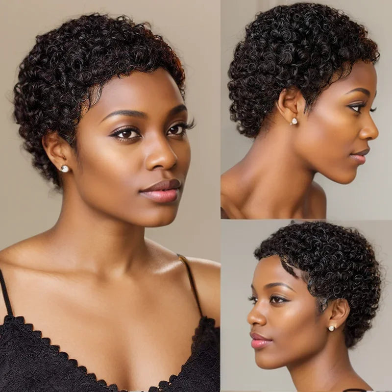 Kinky Curly Human Hair Wigs
