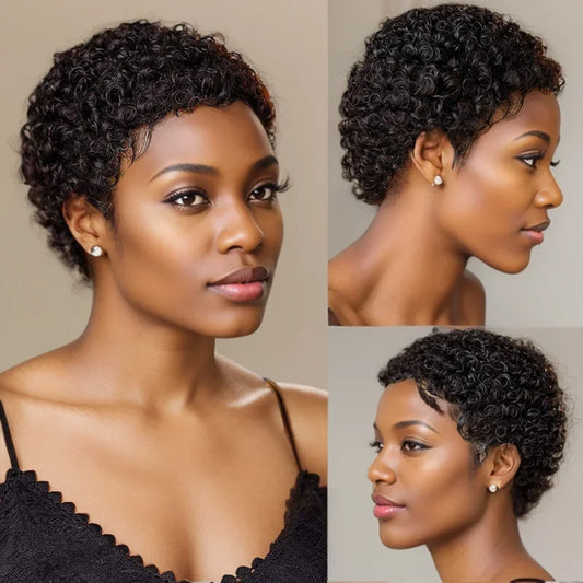 Kinky Curly Human Hair Wigs
