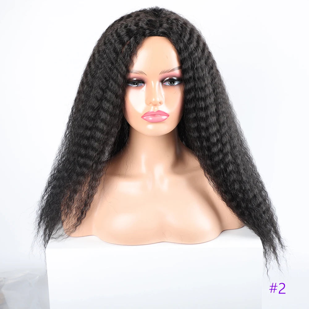 Long Kinky Hair Wigs