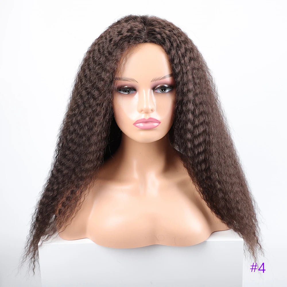 Long Kinky Hair Wigs