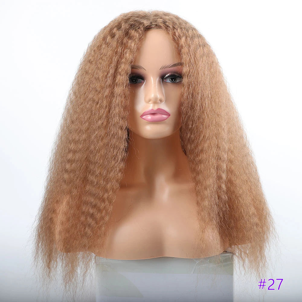Long Kinky Hair Wigs