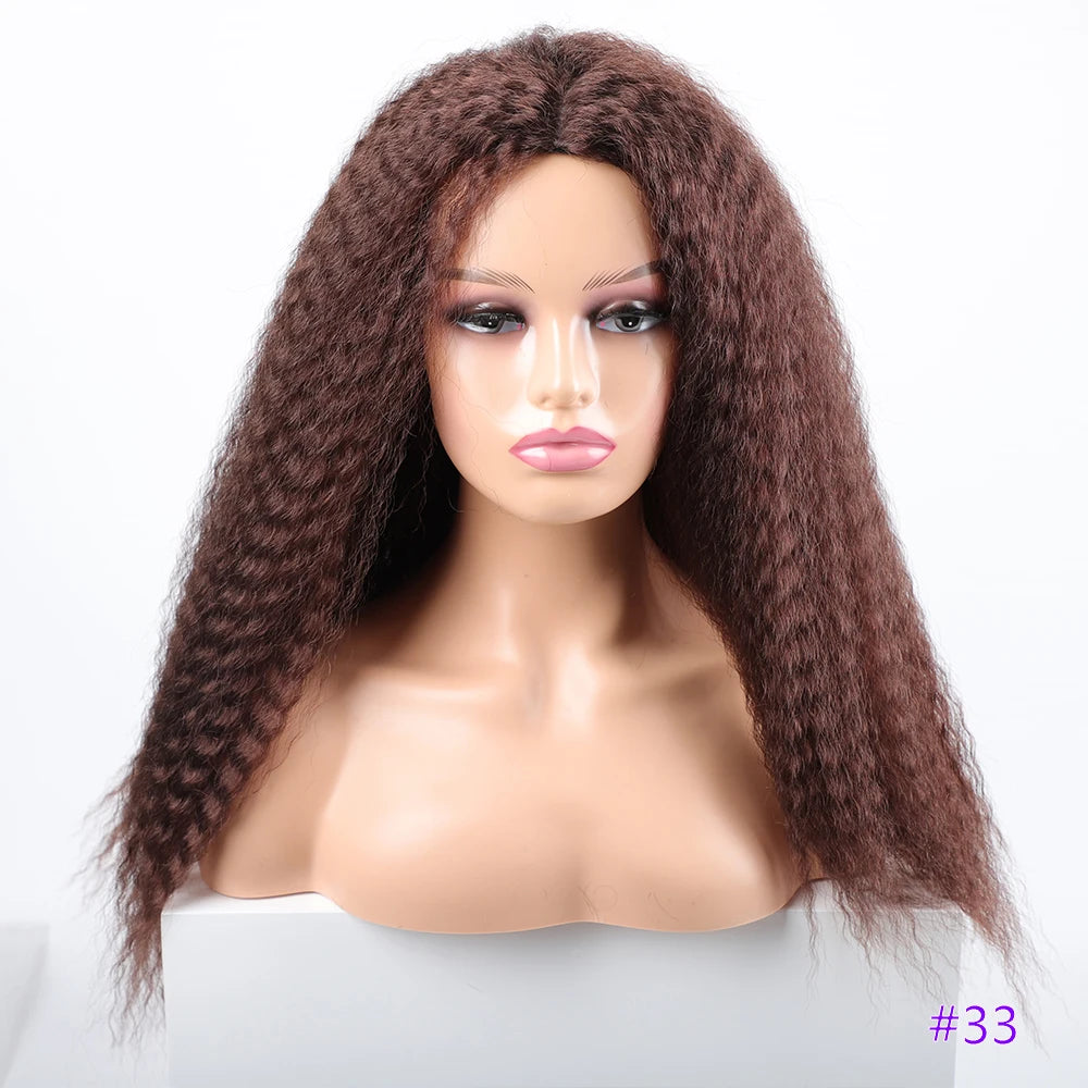 Long Kinky Hair Wigs