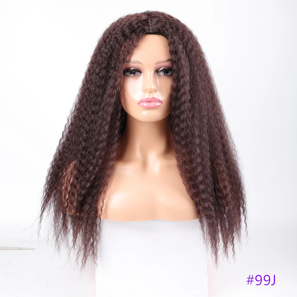 Long Kinky Hair Wigs